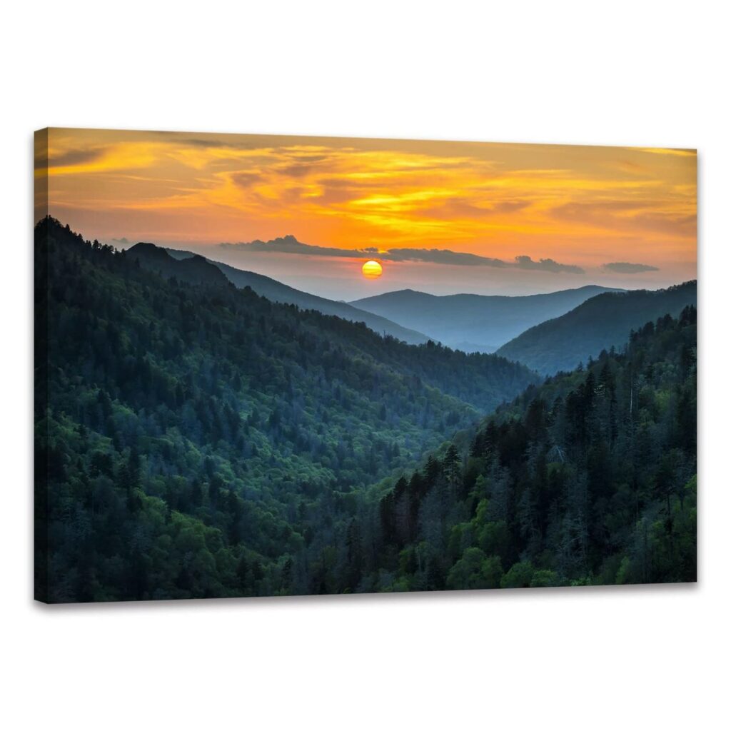 Forest Sunrise Wall Art Decor Great Smoky Mountai