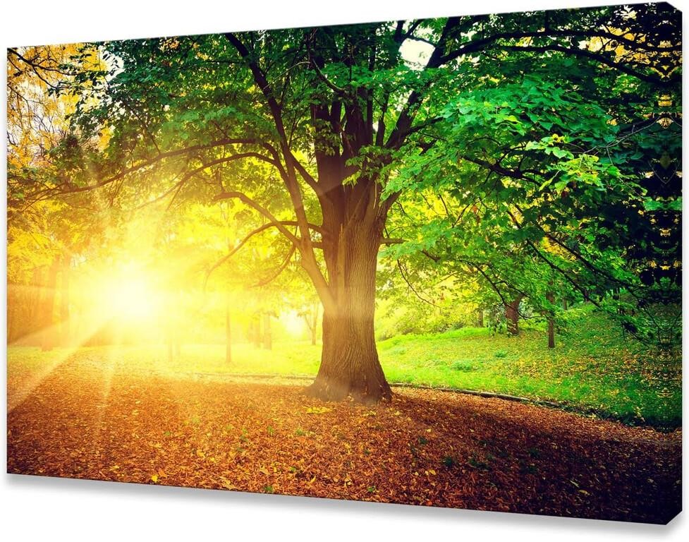 Baisuwallart S06181 Wall Art Decor Canvas Print Pi
